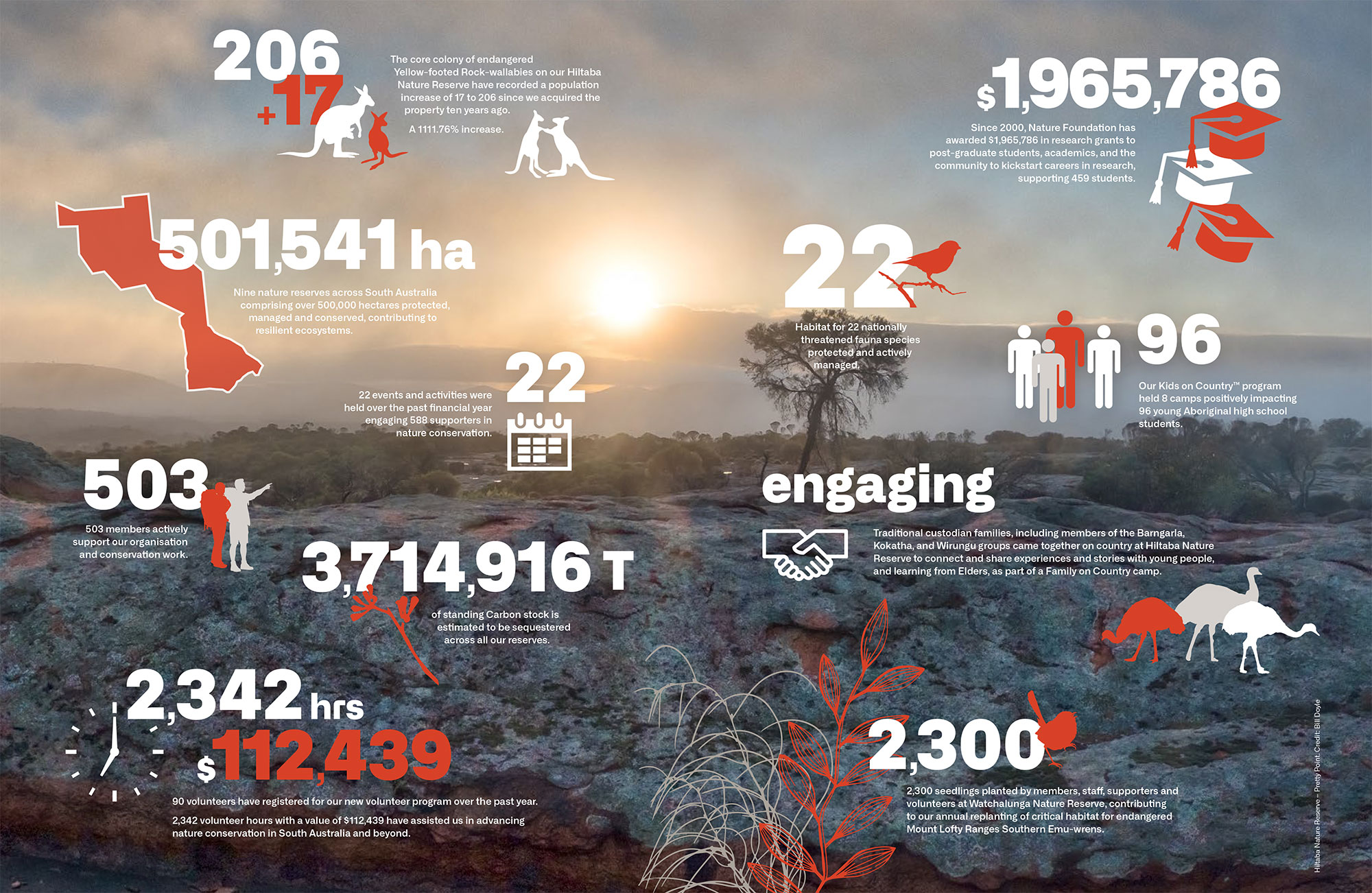 NF-Impact-Report-24-infographics-spread-web.jpg