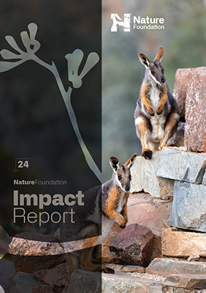 NF-Impact-Report-24-cover-web-thumb.jpg