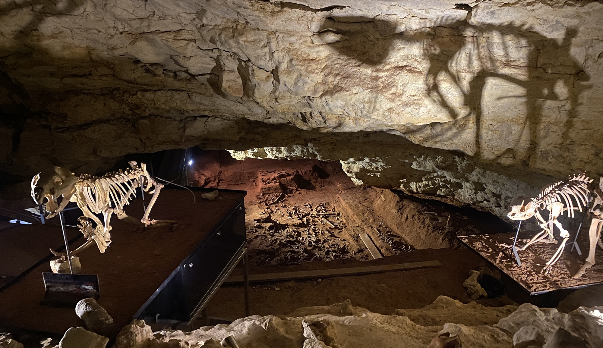 NF-2024-SE-Spring-Member-Tour-Naracoorte-Caves.jpg